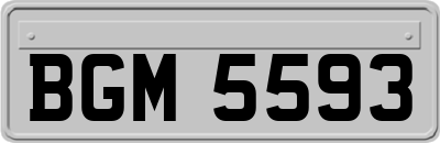 BGM5593