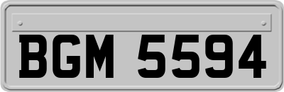 BGM5594