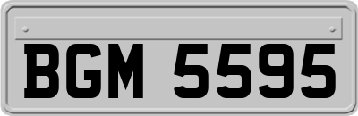 BGM5595