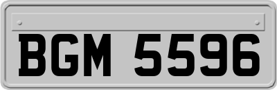 BGM5596