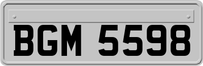BGM5598