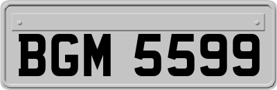 BGM5599