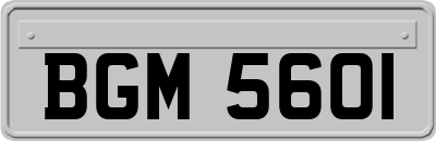 BGM5601