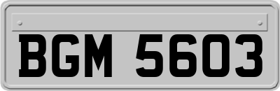 BGM5603