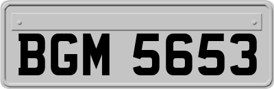 BGM5653