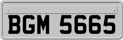 BGM5665