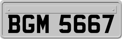 BGM5667