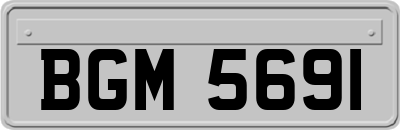 BGM5691