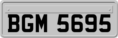 BGM5695