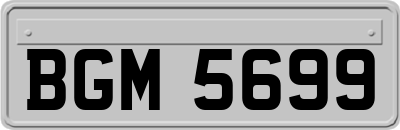 BGM5699