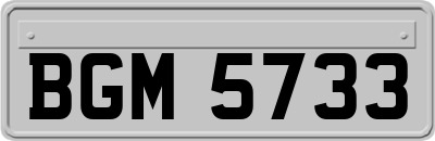 BGM5733