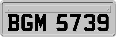 BGM5739