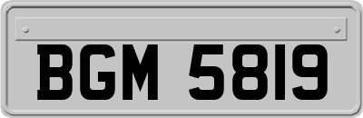 BGM5819