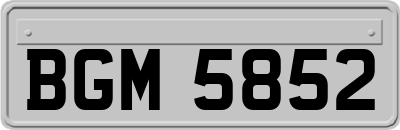 BGM5852