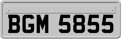 BGM5855