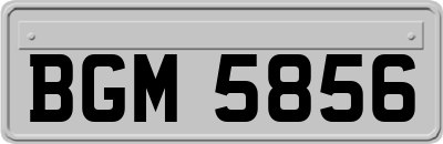 BGM5856