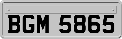 BGM5865