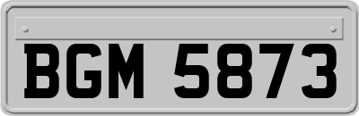 BGM5873
