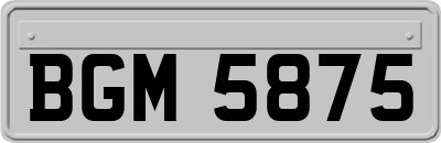 BGM5875