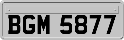 BGM5877