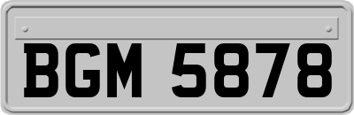 BGM5878