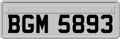BGM5893