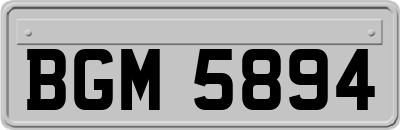 BGM5894