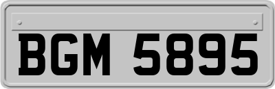 BGM5895