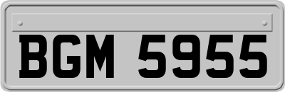 BGM5955
