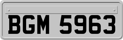 BGM5963
