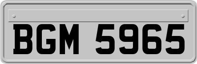 BGM5965