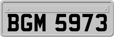 BGM5973