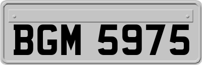 BGM5975