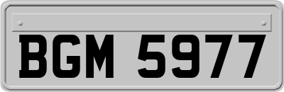 BGM5977