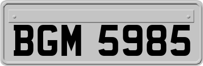 BGM5985