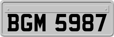 BGM5987