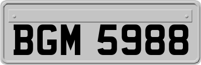 BGM5988