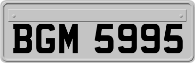BGM5995