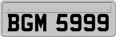 BGM5999