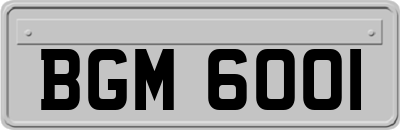 BGM6001
