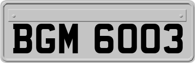 BGM6003