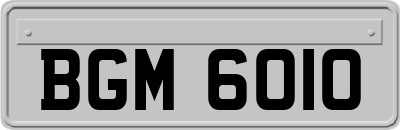 BGM6010