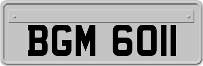 BGM6011