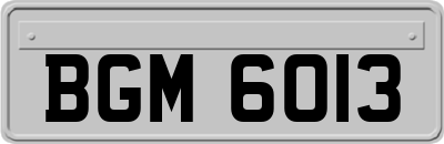 BGM6013