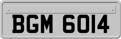 BGM6014
