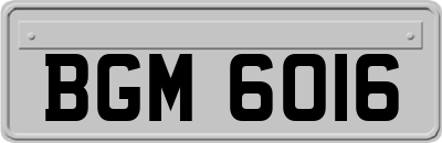 BGM6016