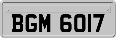 BGM6017