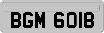 BGM6018
