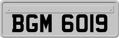 BGM6019