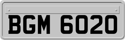 BGM6020